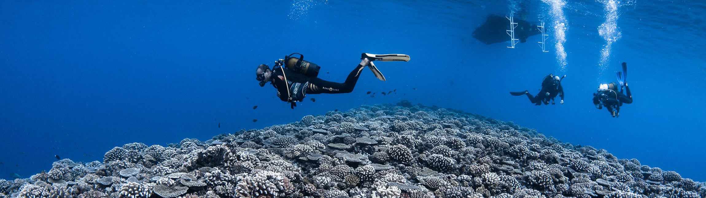Formations Topdive
