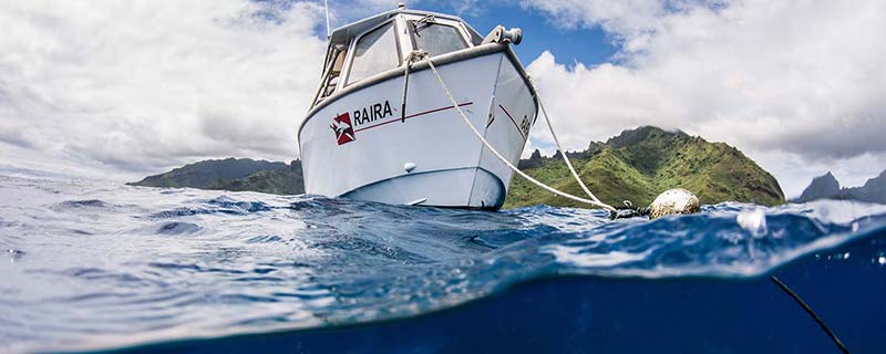 Taotoï, Moorea