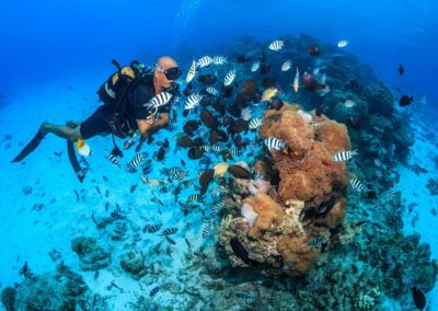 Baptême de plongée aux épaves à Tahiti avec Topdive