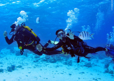 Plongée sous-marine à Bora Bora avec Topdive