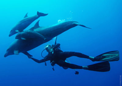 Plongeur et Dauphins dans la passe de Tiputa à Rangiroa avec Topdive