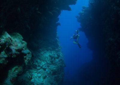 Faille de Arue, Tahiti -Plongée avec Topdive. Copyright Sylvain Girardot