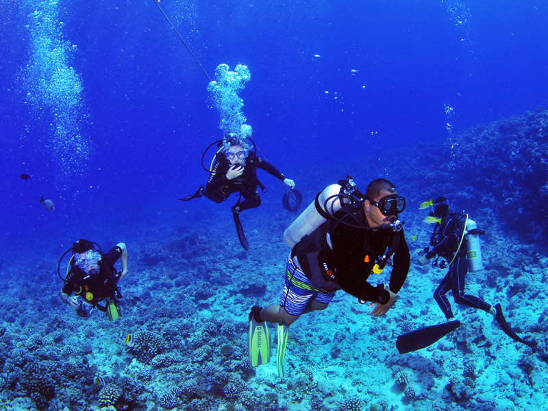 Palanquée à Moorea