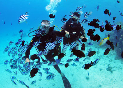 Plongée parmi des centaines de poissons à Tahiti