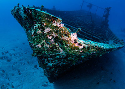 Epave à Tahiti, plongée Topdive