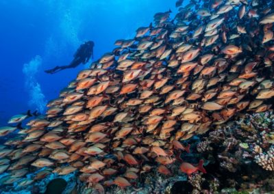 La passe de garuae à Fakarava - Topdive