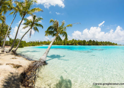 Le lagon bleu de Rangiroa - Topdive Rangiroa ©Greglecoeur