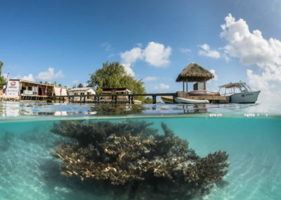 Centre de plongée Topdive dans les iles