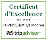 Certificat d'excellence TripAdvisor - Topdive