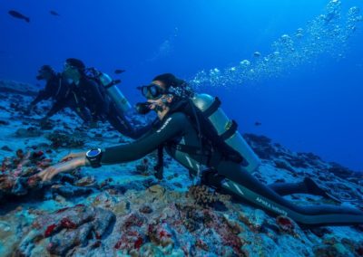 Plongée au Nitrox à Fakarava avec TOPDIVE