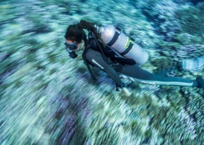 Plongée au Nitrox à Rangiroa avec TOPDIVE