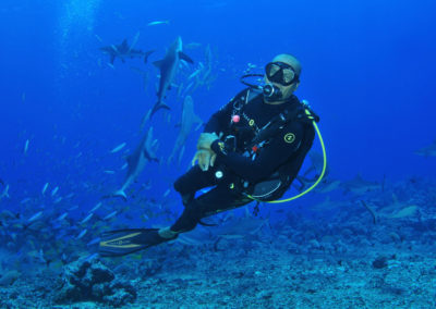 Plongée avec les requins de Rangiroa - Topdive Rangiroa ©Philippe-Joachim