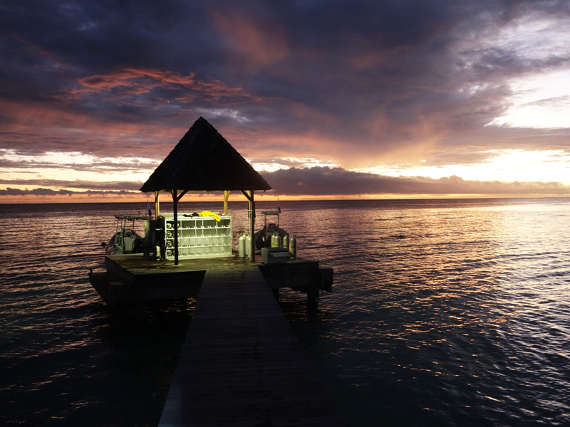 Palanquée à Moorea