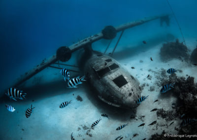 Topdive - Les 3 épaves-Tahiti-copyrights Frédéric Legrand