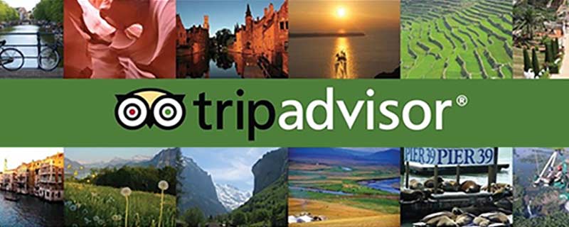 Certificat d’excellence de Trip Advisor pour TOPDIVE-Bathys Moorea