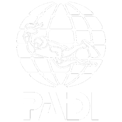 Padi